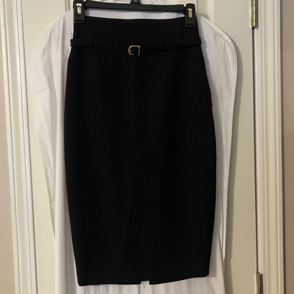 Express Pencil Skirt
